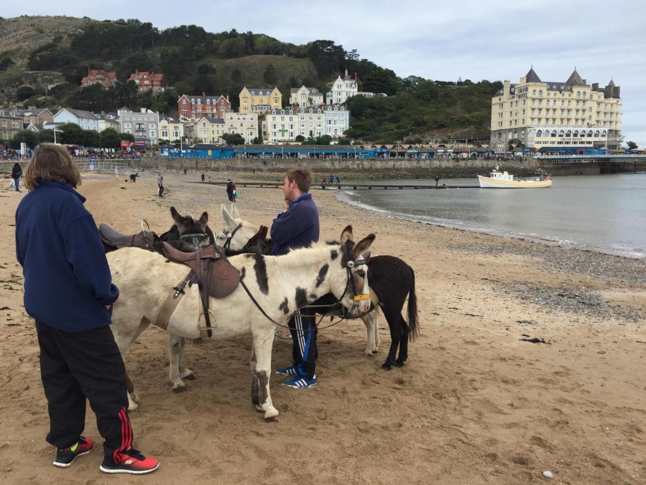 Affittacamere Chilterns Llandudno